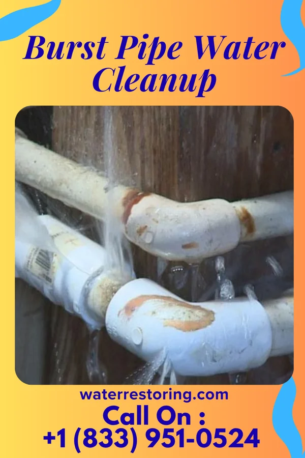 Burst Pipe Water Cleanup in Milford, IA