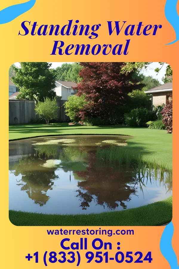 Standing Water Removal in Milford, IA
